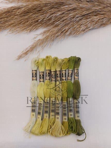 Dmc Muline Açık Yeşil Renkler 8 Renk